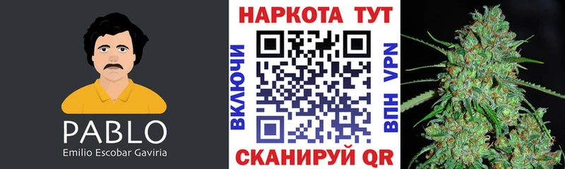 Купить наркоту Новороссийск Псилоцибиновые грибы  A PVP  Меф мяу мяу  Бошки Шишки  ГАШИШ 