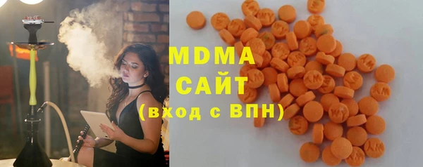 PSILOCYBIN Алзамай