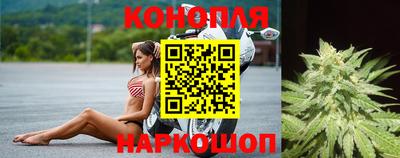 трава Кингисепп