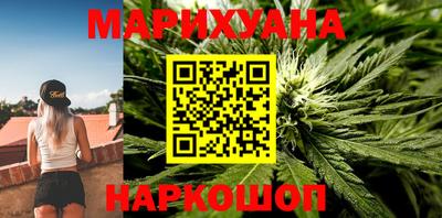 трава Кингисепп