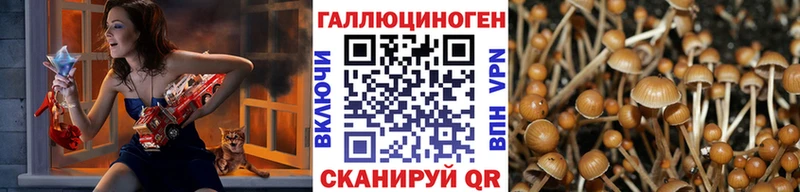 Галлюциногенные грибы MAGIC MUSHROOMS  закладки  Новороссийск 
